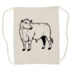 Canvas Drawstring Backpack Thumbnail
