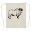 Canvas Drawstring Backpack Thumbnail